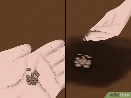 Image titled Plant a Sweet Shrub Step 12