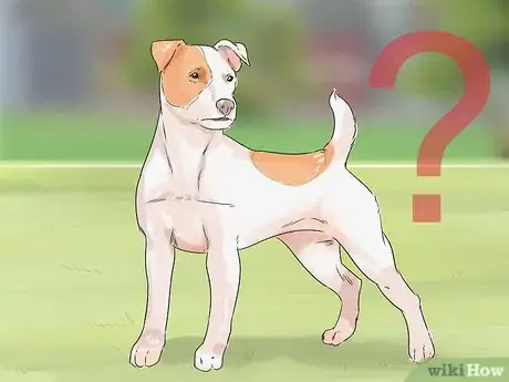 Image titled Dog‐Sit when You Have a Small Pet Step 9