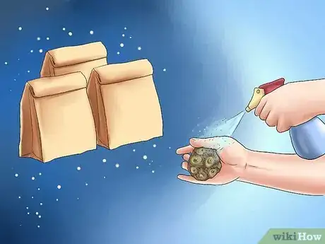 Image titled Winterize Calla Lily Bulbs Step 7