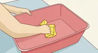 Use a Litter Box for a Rabbit