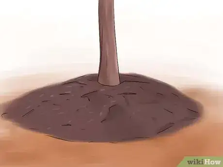 Image titled Grow Perennial Vegetables Step 11