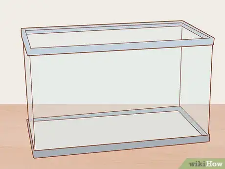 Image titled Choose Good Tankmates for Seahorses Step 1