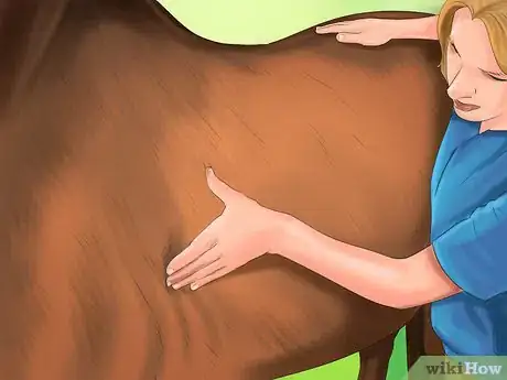 Image titled Care for Your Horse In the Winter Step 18