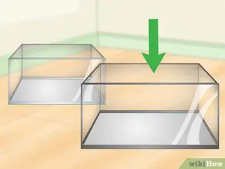 Image titled Build a Freshwater Predator Fish Aquarium Step 1