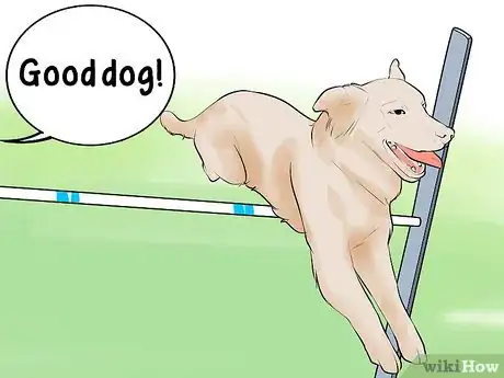 Image titled Get Your Dog to Jump Poles Step 13