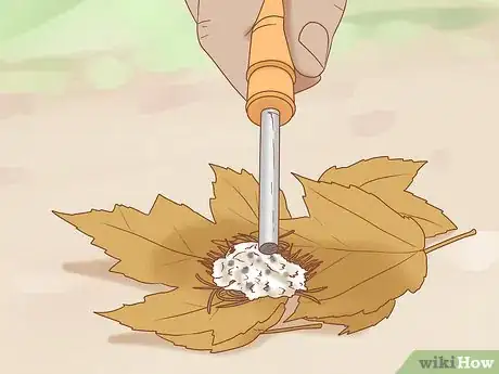 Image titled Use an Emergency Fire Starter Step 8