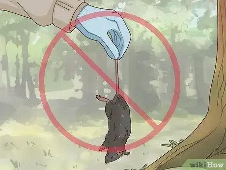 Image titled Photograph Owls Step 16