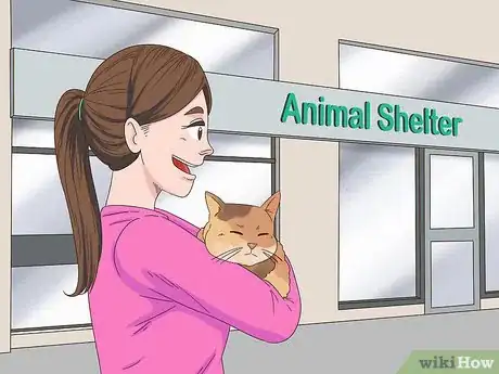 Image titled Find Homes for a Litter of Kittens Step 7