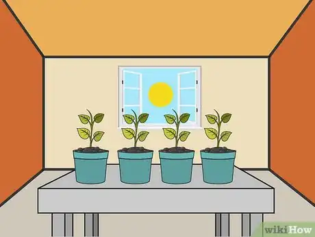 Image titled Grow a Chilli Plant from a Seed Step 10