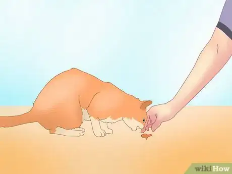 Image titled Get a Cat to Roll Over Step 3