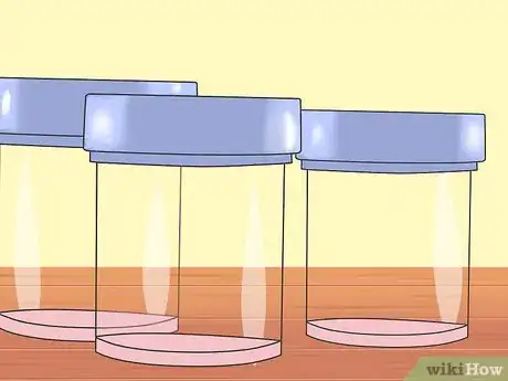 Image titled Collect a Urine Sample from a Female Dog Step 6