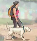 Exercise Your Dog