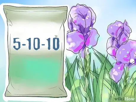 Image titled Get Irises to Bloom Step 10