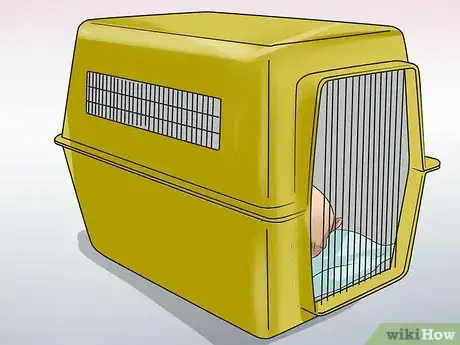 Image titled Be Intimate with Your Partner when You Have a Protective Dog Step 4