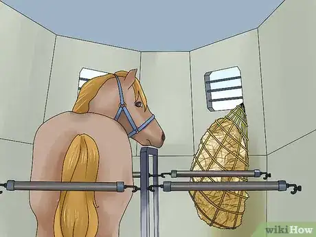 Image titled Take Your Horse on a Long Trailer Ride Step 12