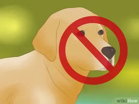 Image titled Visit the Golden Gate Bridge Step 16