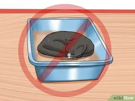 Image titled Resolve Cat Litter Tray Issues Step 12