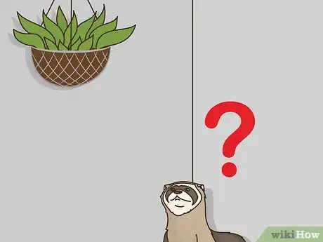 Image titled Stop a Ferret from Digging in Houseplants Step 1
