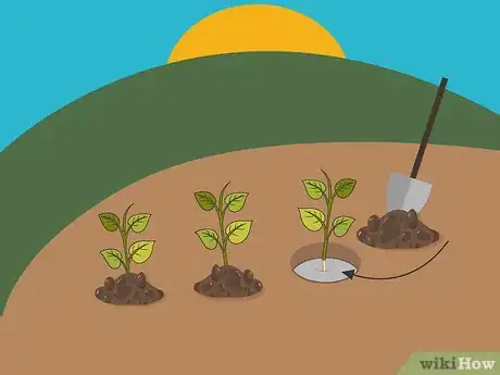 Image titled Grow Hot Peppers Step 11