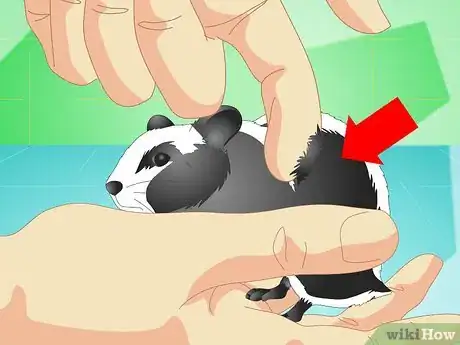 Image titled Keep a Hamster Healthy Step 10