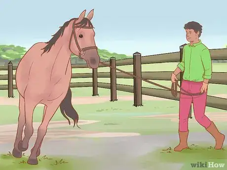 Image titled Handle and Control a Stallion Step 6
