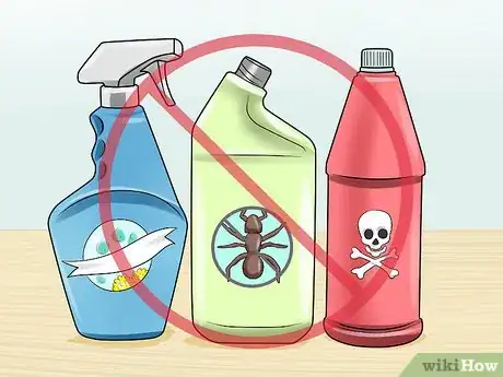 Image titled Take Care of a Ragamuffin Cat Step 2