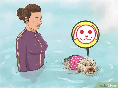 Image titled Protect Your Dog Around Natural Water Sources Step 7