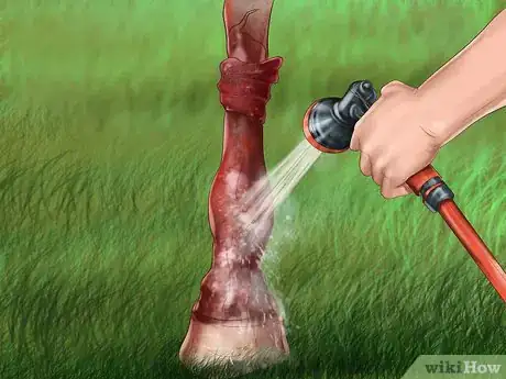Image titled Heal a Cut on a Horse Step 2