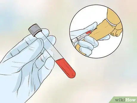 Image titled Get a Complete Geriatric Work Up for Your Dog Step 16