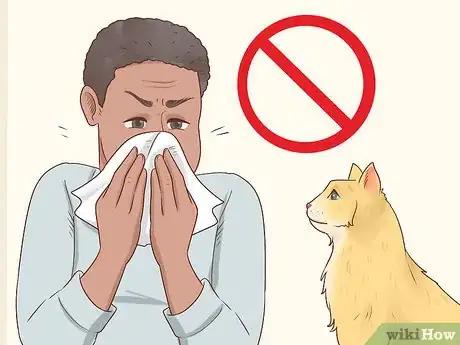 Image titled Diagnose and Treat Chlamydiosis in Cats Step 16