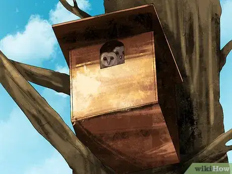 Image titled Attract Barn Owls Step 3