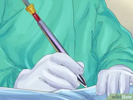 Image titled Treat Feline Stomatitis Step 6