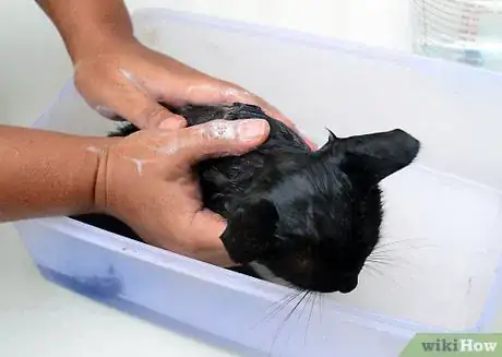 Image titled Make a Homemade Cat Spa Step 22