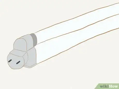 Image titled Grow Redwoods from Seed Step 8