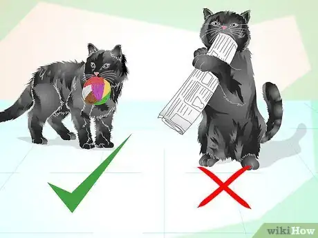 Image titled Train an Old Stubborn Cat to Do Tricks Step 16