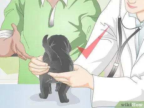 Image titled Choose Between Dry or Canned Dog Food Step 14