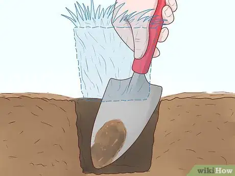 Image titled Plant Grass Plugs Step 5