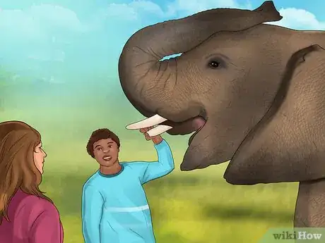 Image titled Help Save Elephants Step 4