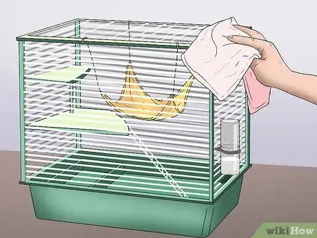 Image titled Raise Ferrets Together Step 15