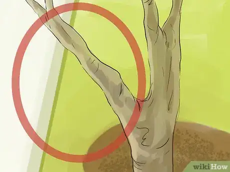 Image titled Prune a Quince Tree Step 12