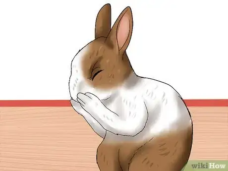 Image titled Diagnose Snuffles (Pasteurella) in Rabbits Step 1