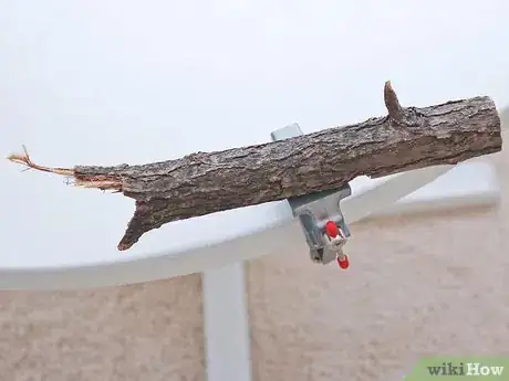 Image titled Make Buttons from Branches Step 5