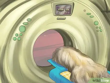 Image titled Diagnose Bone Diseases in Growing Dogs Step 9