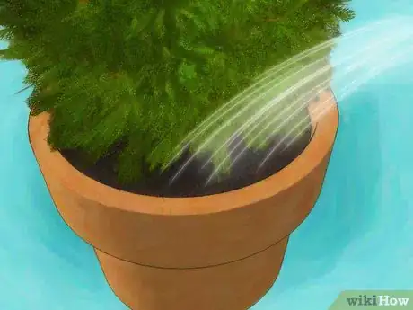Image titled Plant Juniper Step 5