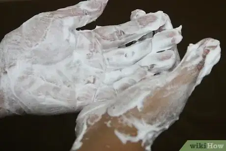 Image titled Cut a Cabbage Into Wedges Step 4Bullet1