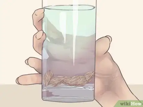 Image titled Plant a Plum Seed Step 8