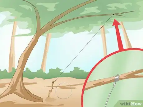 Image titled Trap a Rabbit Step 20