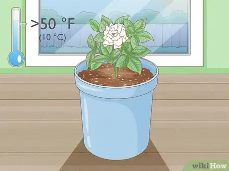 Image titled Transplant Potted Flowers Outdoors Step 17