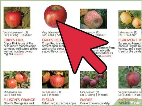 Image titled Choose the Right Tree Service Step 7