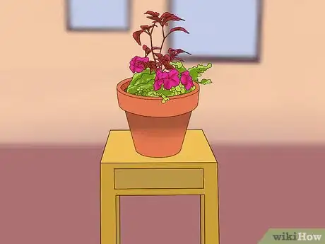 Image titled Design a Container Garden Step 15
